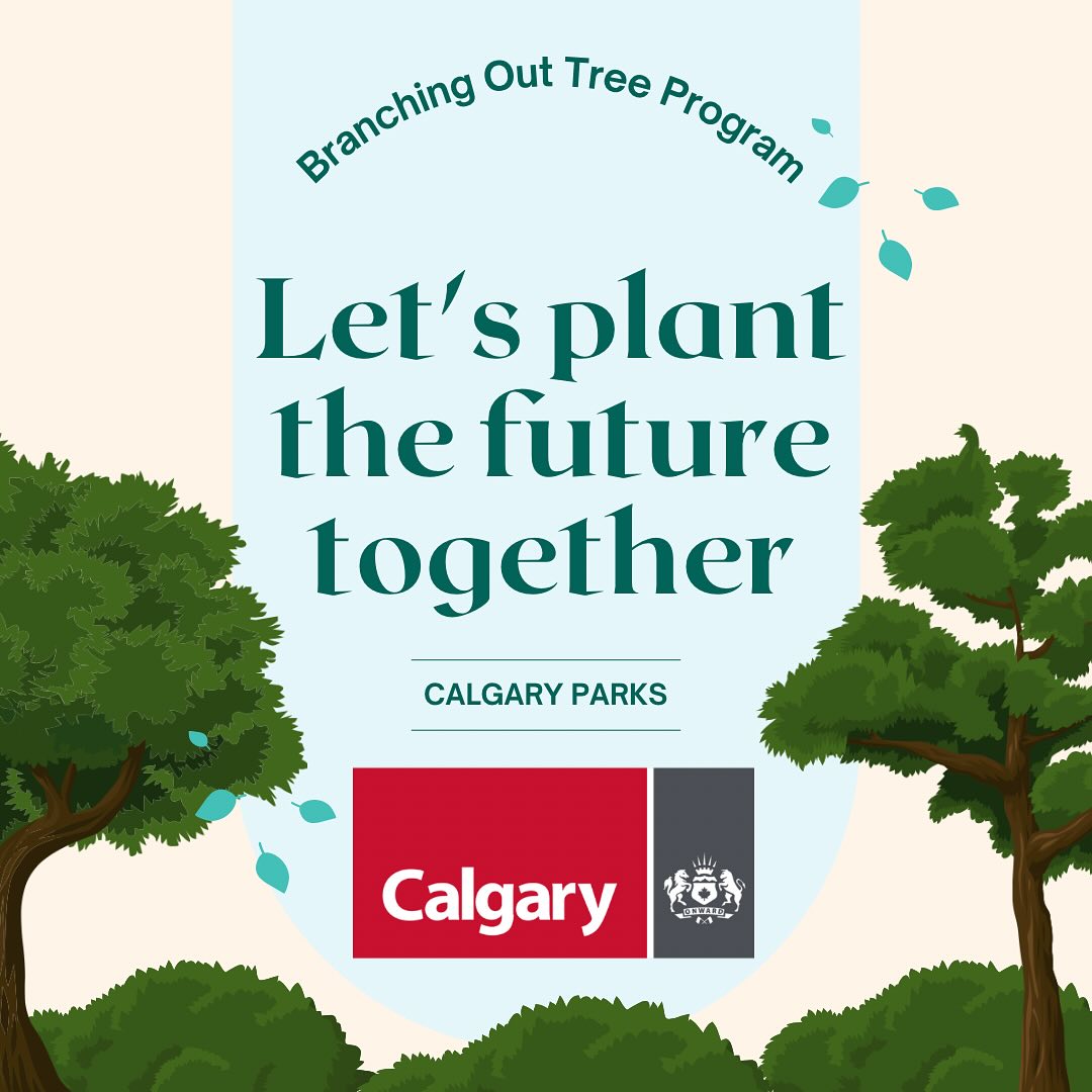 Multimedia-irudia: Expand Calgary's Branching Out Program With a Five-Year Tree Protection Covenant
