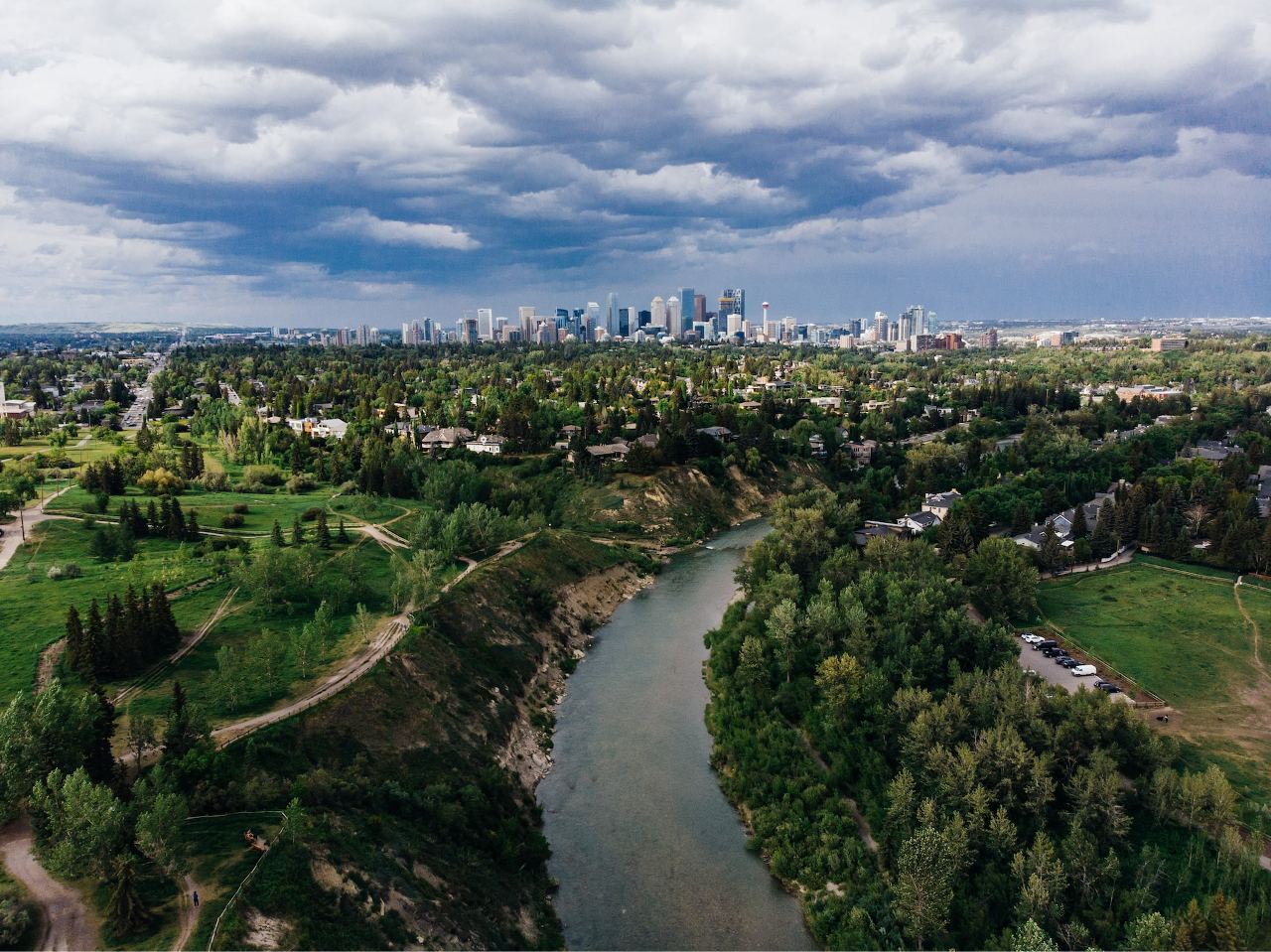 Obraz: Calgary's Urban Forest: Citizen Iniative