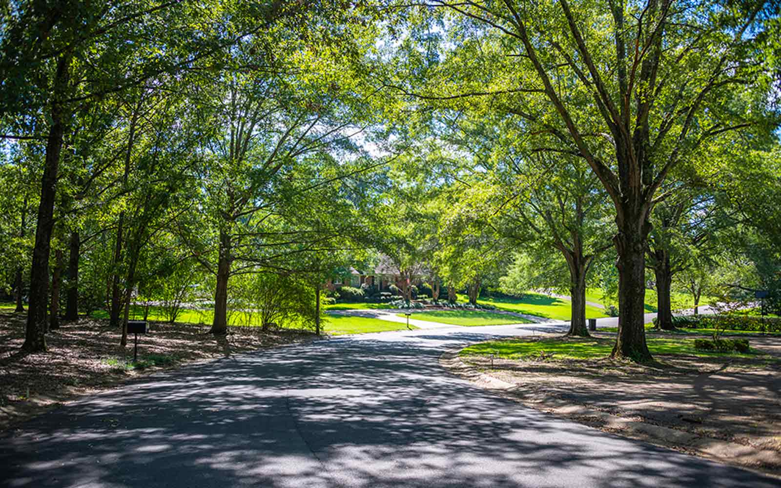 Obraz: Mandate Tree Canopy Requirements in All New Calgary Area Structure Plans